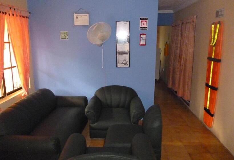 هاستل Posada Nativa Miss Casira