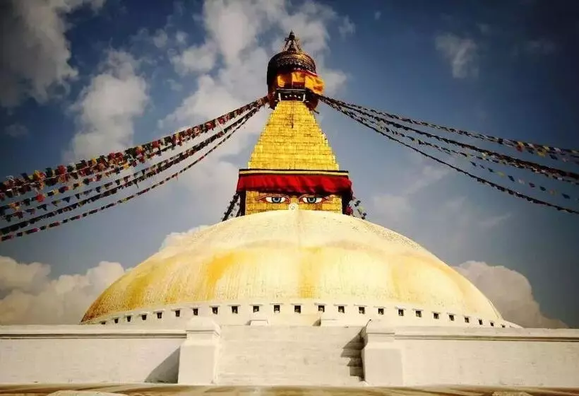 هتل Little Buddha Inn