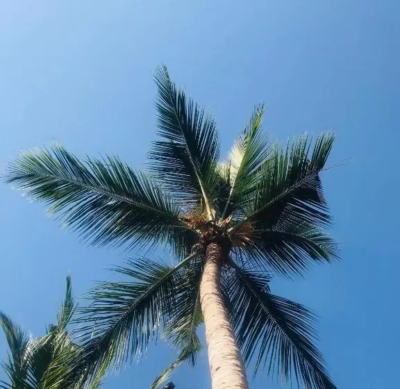 ホテル Lucky Bay