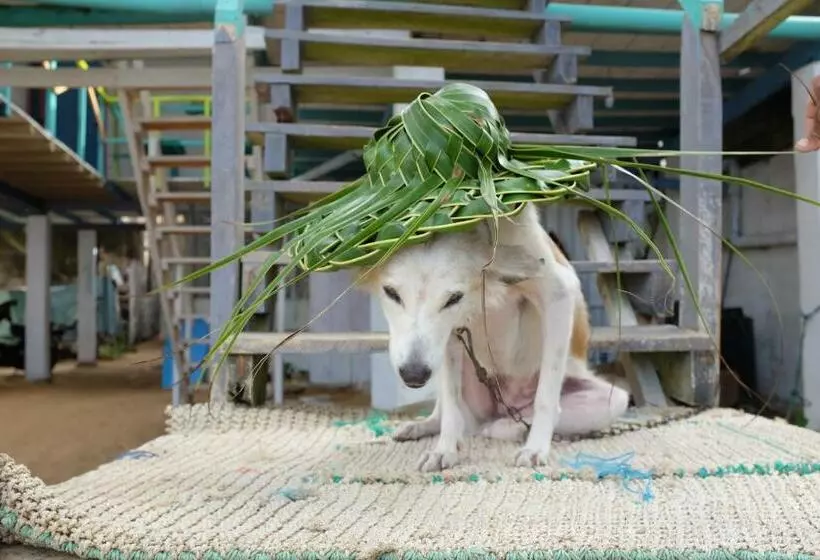 ペンション Ceylon Beach Home
