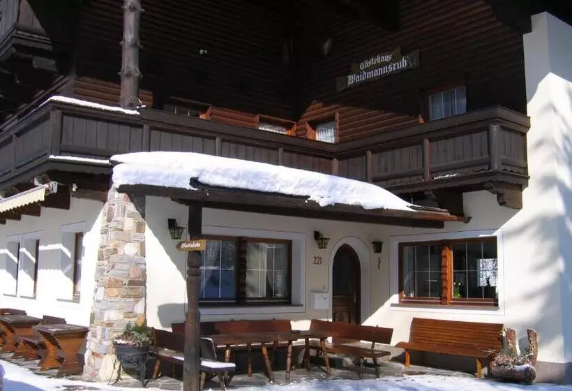 住宿加早餐  Pension Waidmannsruh