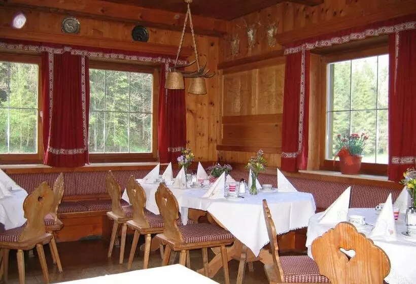 住宿加早餐  Pension Waidmannsruh