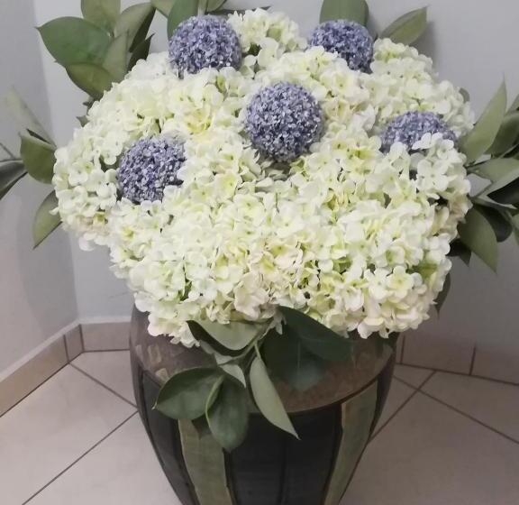 酒店 Europa   Family And Senior Friendly