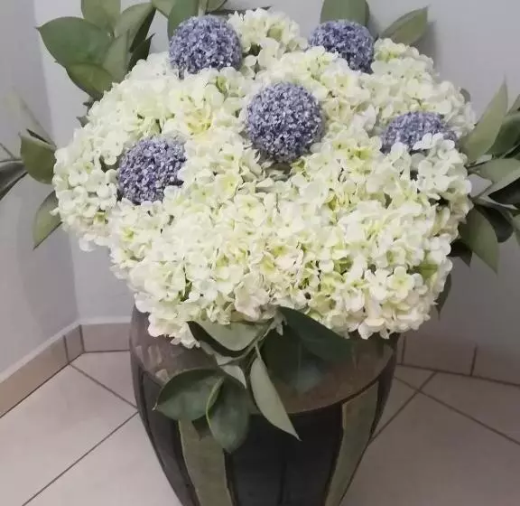 Hotel Europa   Family And Senior Friendly