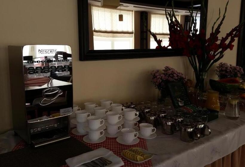 בית מלון כפרי Górski