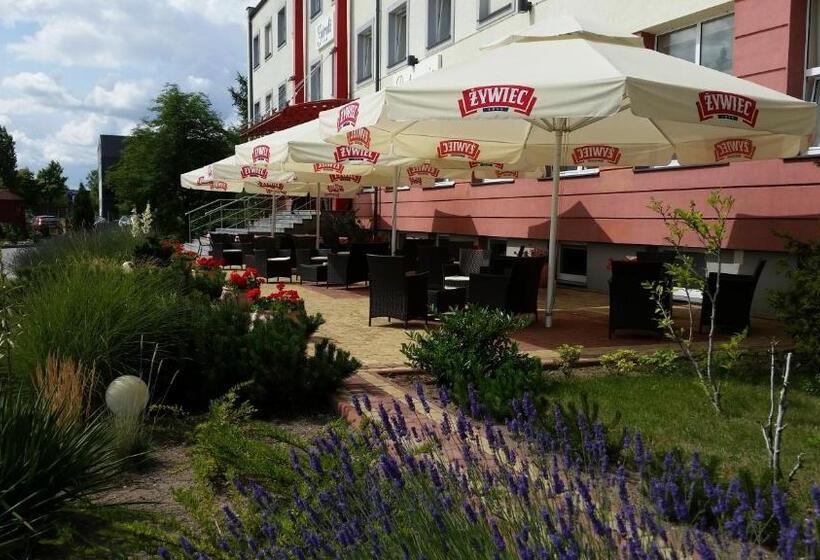 בית מלון כפרי Górski