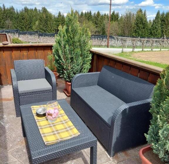 Отель Pension Maria Wallner