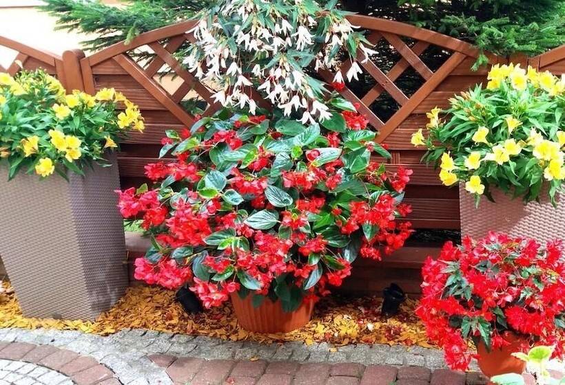 ホテル Apartament Rades