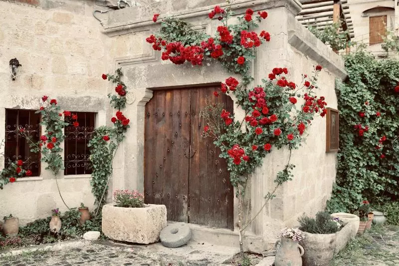 Hotel Sultan Cave Suites