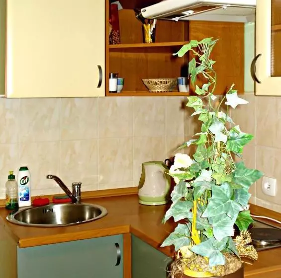 هتل Zielony Domek