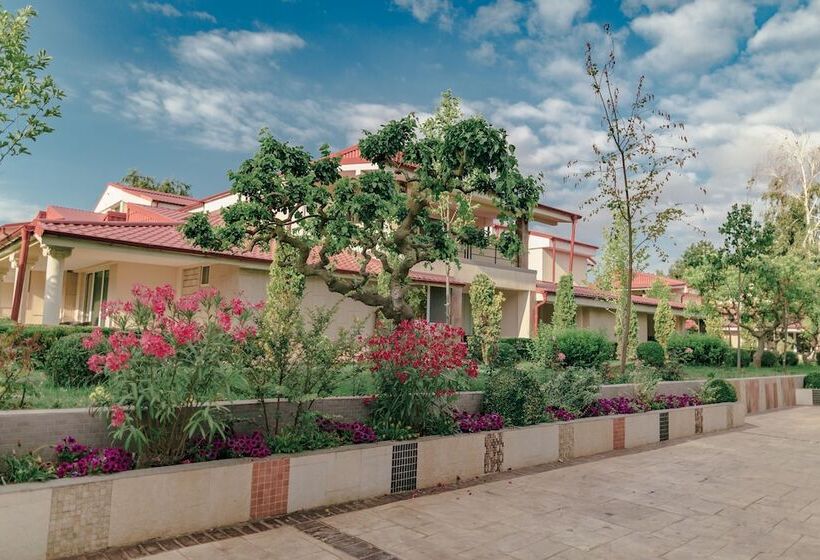 Vox Maris Grand Resort   Adults Only