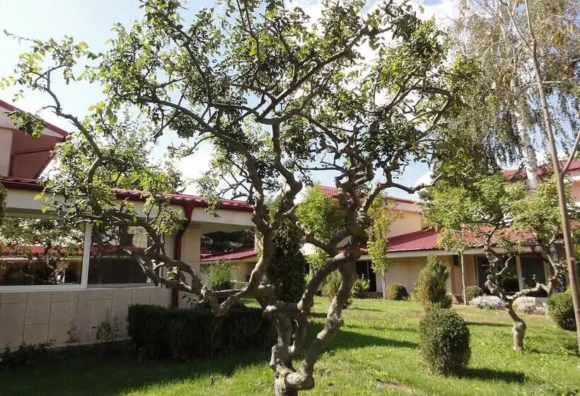 Vox Maris Grand Resort   Adults Only