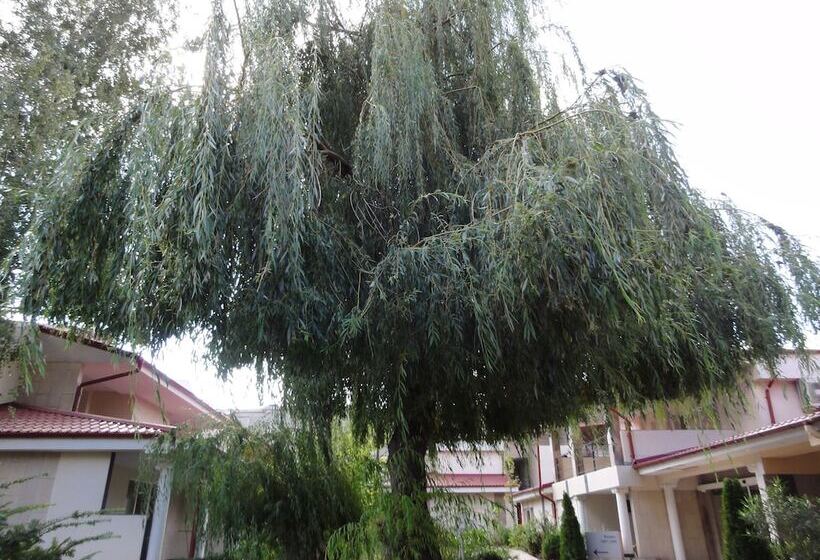 Vox Maris Grand Resort   Adults Only