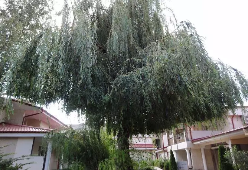 Vox Maris Grand Resort   Adults Only