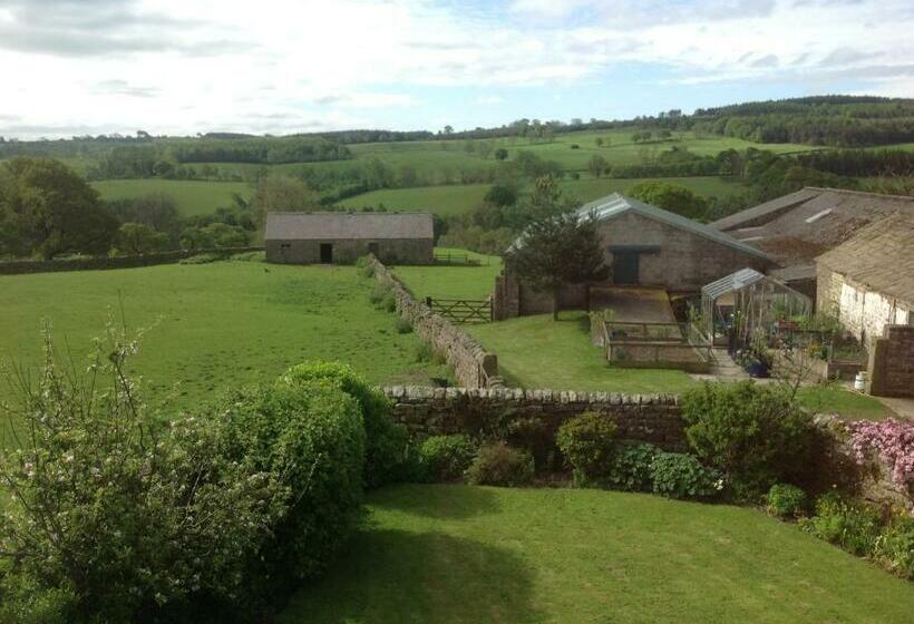 Firs Farm B&b