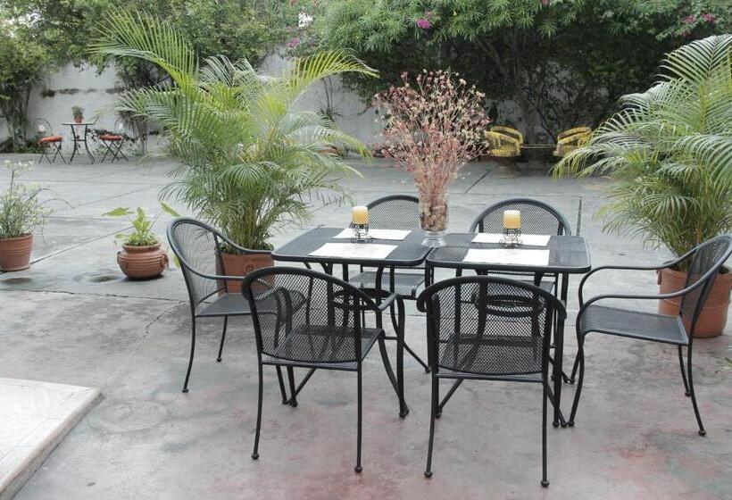 فندق Posada Del Angel