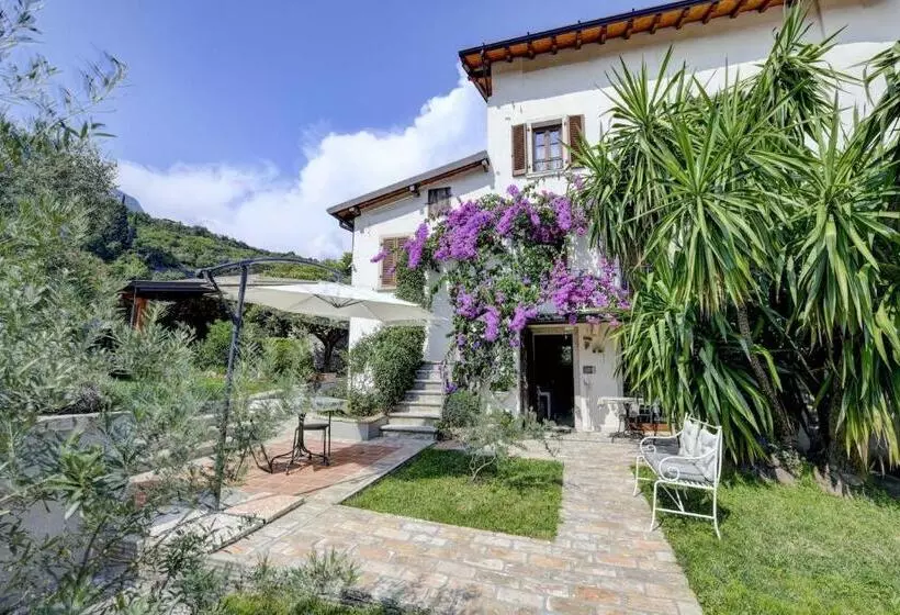 Il Nido Dei Gufi Bed And Breakfast