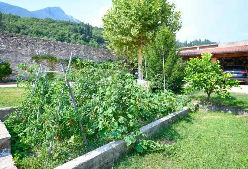 Il Nido Dei Gufi Bed And Breakfast