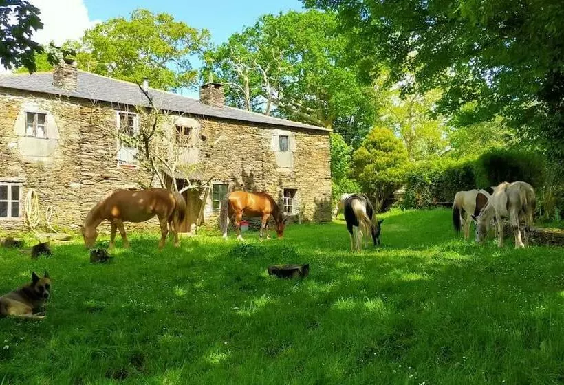 Granja Labrada: Alojamiento Con Caballos
