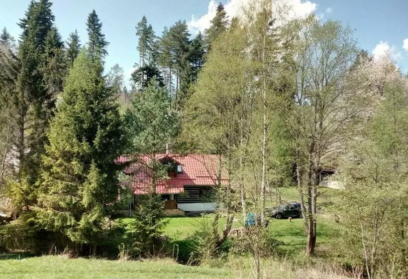 Baby Bear Cottage