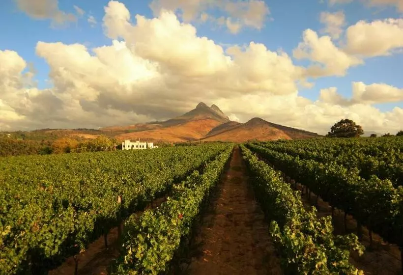 Mitre S Edge Vineyard Studio