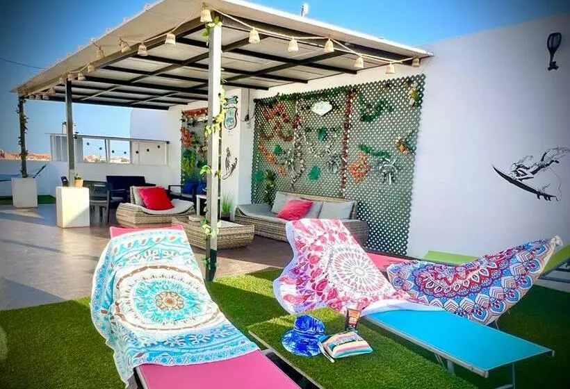 Animos! Apartments   10 Modern Apartments Near The City & Beach, Perfect For Nomads, Travellers, Fam