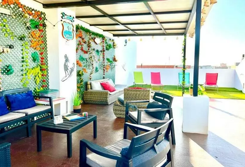 Animos! Apartments   10 Modern Apartments Near The City & Beach, Perfect For Nomads, Travellers, Fam