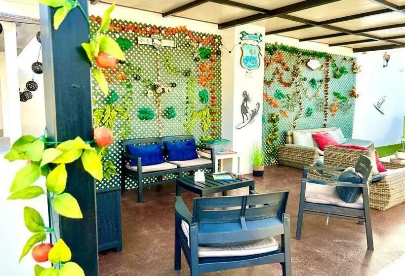 Animos! Apartments   10 Modern Apartments Near The City & Beach, Perfect For Nomads, Travellers, Fam