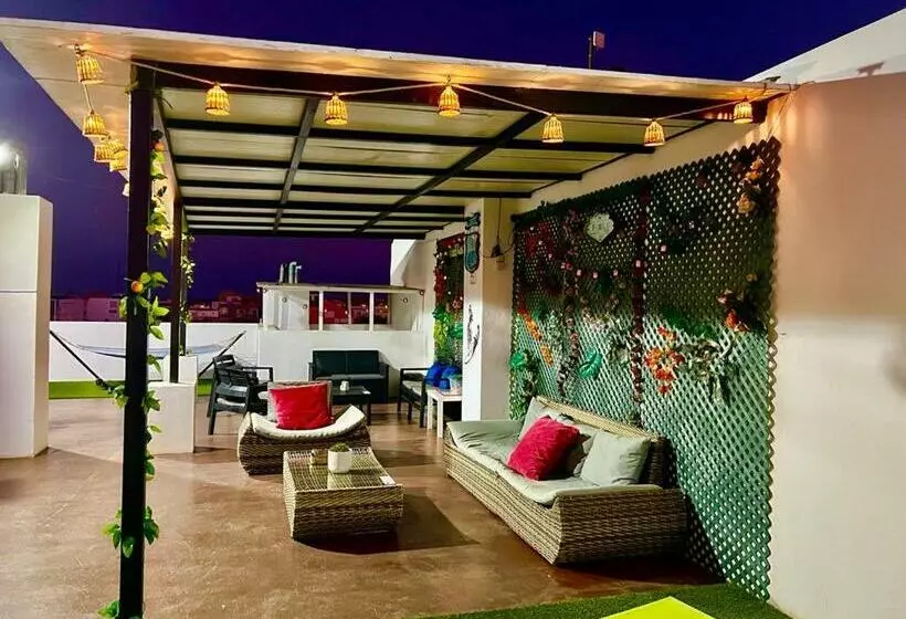 Animos! Apartments   10 Modern Apartments Near The City & Beach, Perfect For Nomads, Travellers, Fam