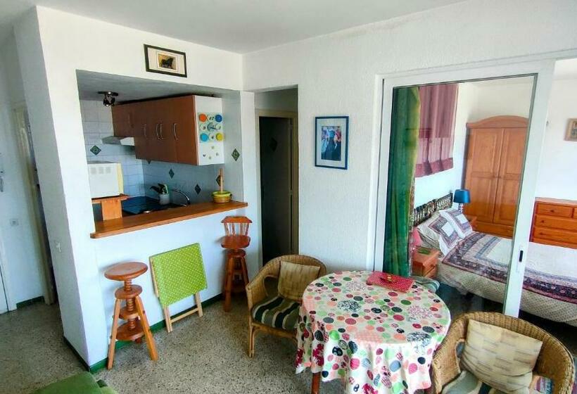 Summer Breeze Apartment