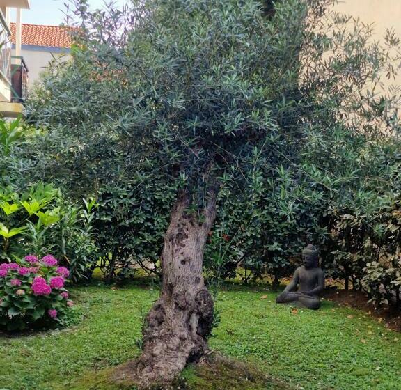 Superbe Appartement Avec Jardin Saint Charles