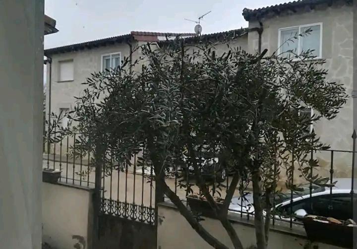 Vivienda Adosada , Con Merendero En Carcedo