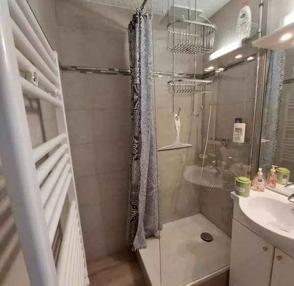 Studio Rénové Grand Confort 3 étoiles   Résidence Les Crêtets