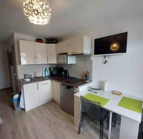 Studio Rénové Grand Confort 3 étoiles   Résidence Les Crêtets