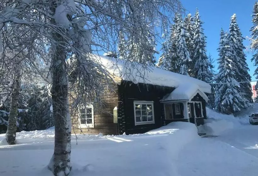 Lillfallet Mysig Fjällstuga Med Bästa Läge På Fjället