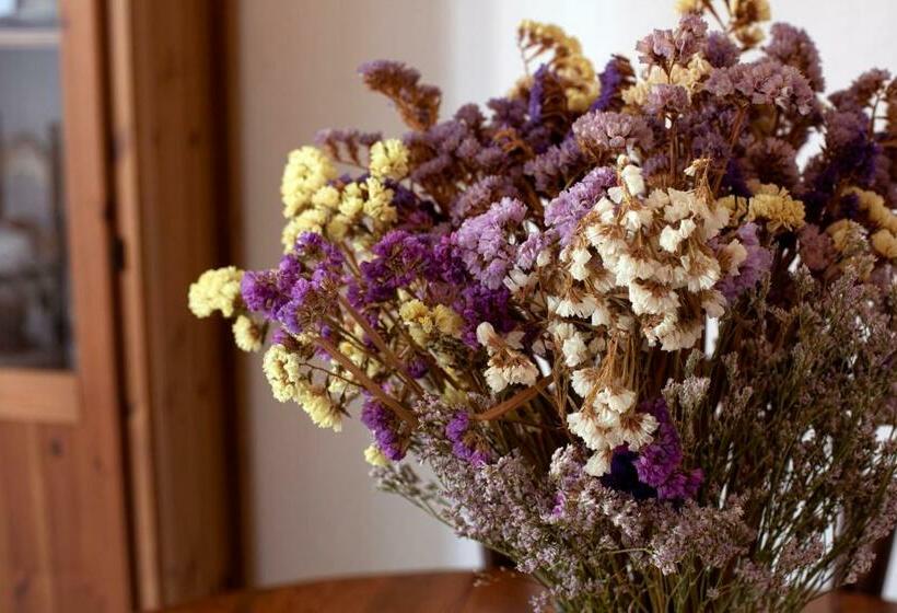 Barroso 4 By 7escalones