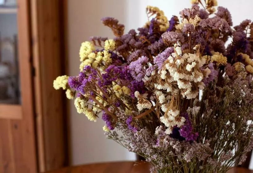 Barroso 4 By 7escalones