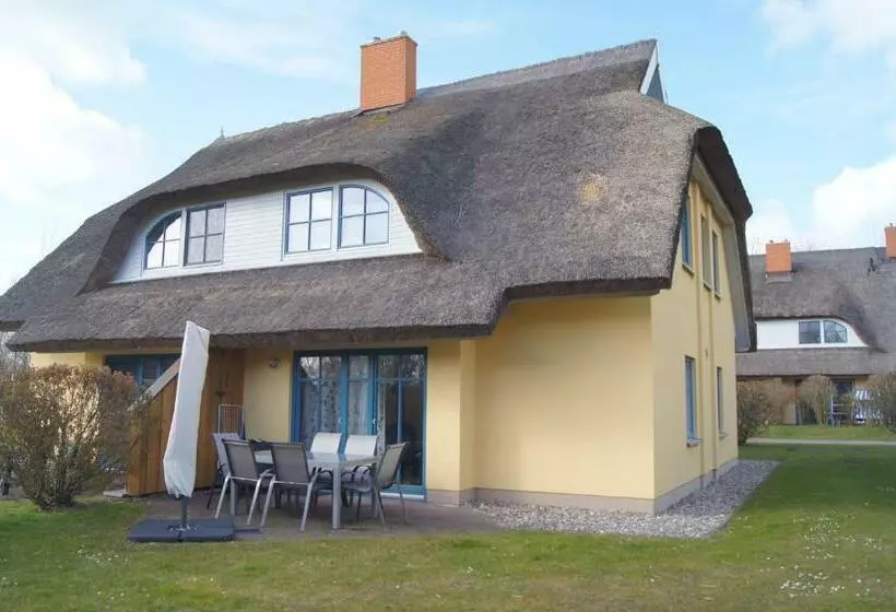 Reetdachhaus Hasel 2