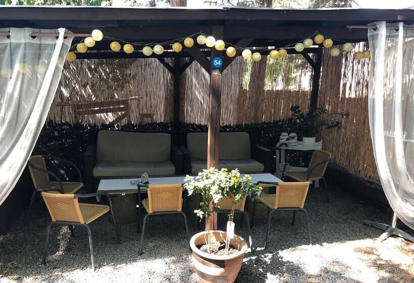 酒店 Fettehenne Gästehaus