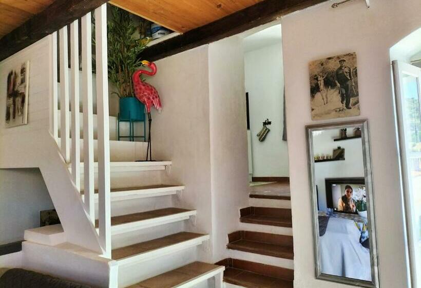 Appartement De 2 Chambres Avec Terrasse Amenagee Et Wifi A Santa Reparata Di Balagna A 5 Km De La Pl