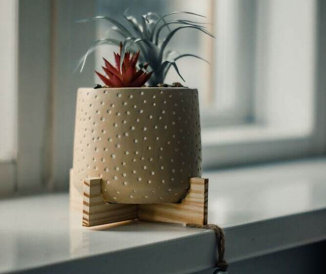 Bvapartments Deighton