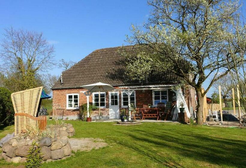 Ferienhaus Lüttes Landhuus