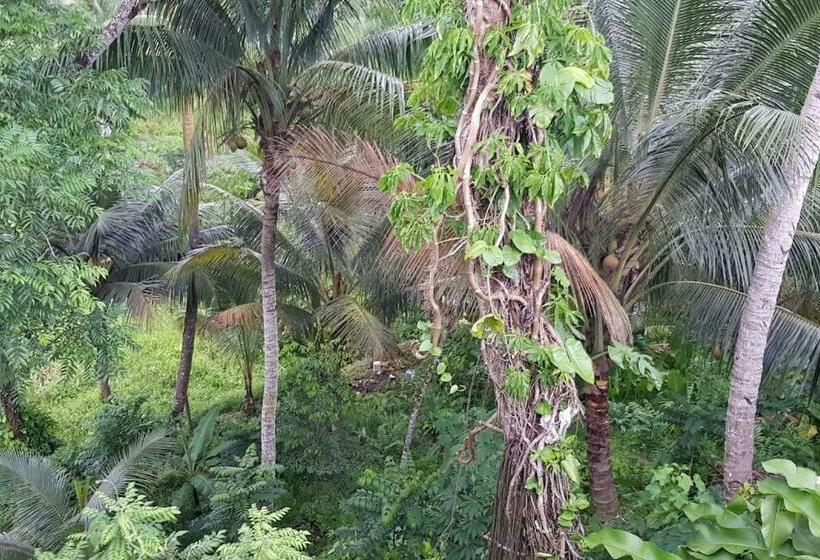 Hill Bottom Accommodation