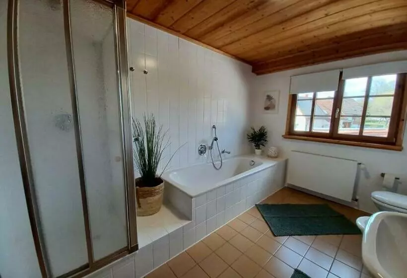 Landhaus Alpenpanorama über Der Wutachschlucht