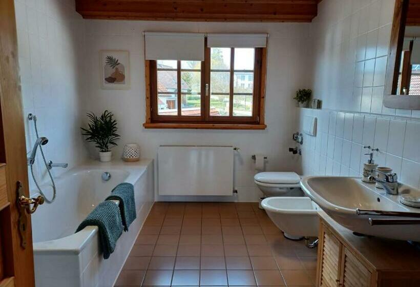 Landhaus Alpenpanorama über Der Wutachschlucht