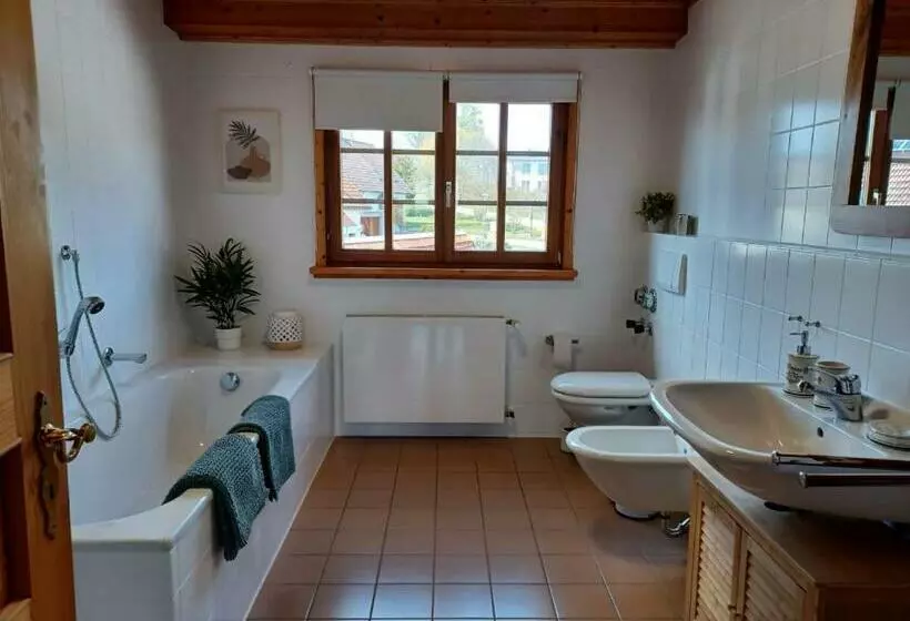 Landhaus Alpenpanorama über Der Wutachschlucht