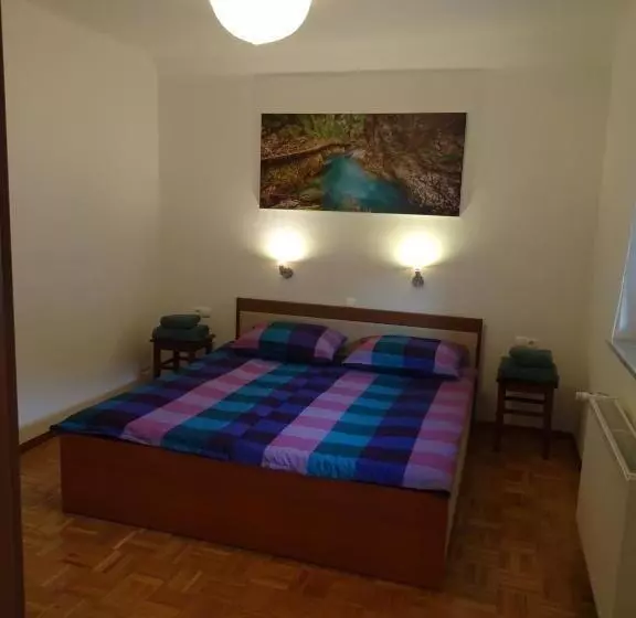 Apartma Dana Brinjtesa
