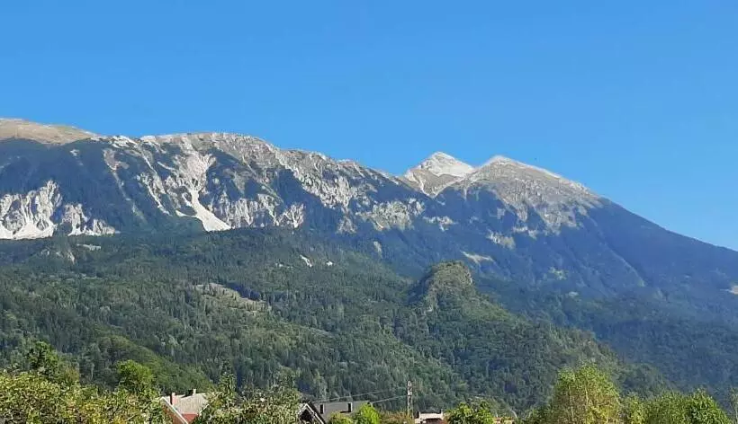 Apartma Dana Brinjtesa