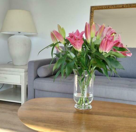 Les Planes De Viladrau