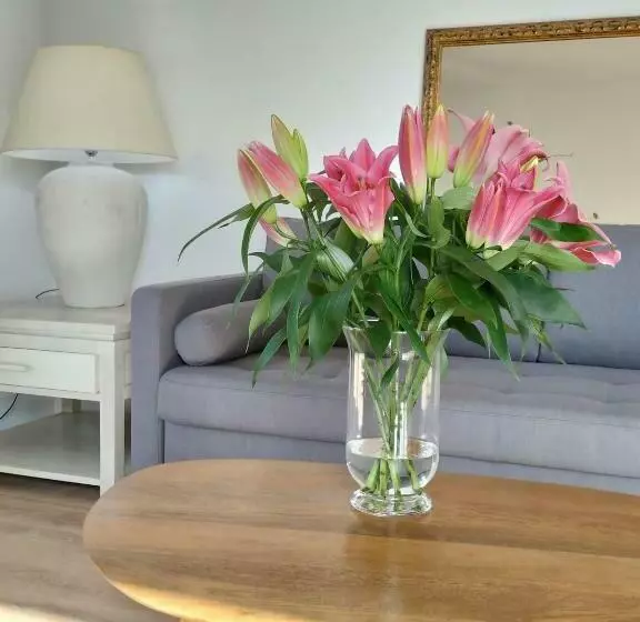 Les Planes De Viladrau